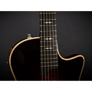 Taylor T5z Pro TSB