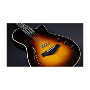Taylor T5z Pro TSB