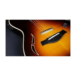 Taylor T5z Pro TSB