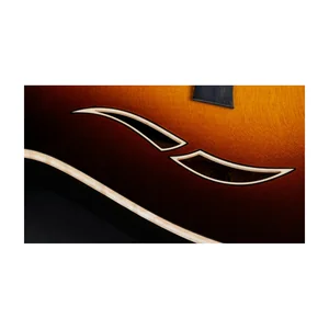 Taylor T5z Pro TSB