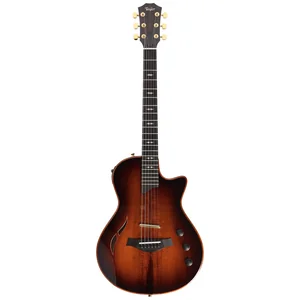 Taylor T5z Standard TS
