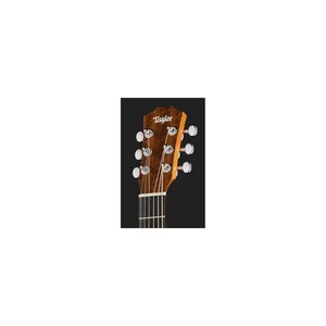 Taylor TS-BTe LH