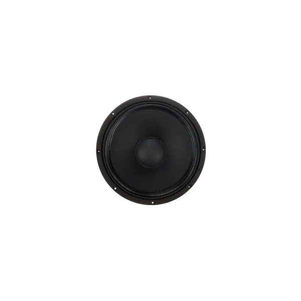 the box pro DSP 115 Woofer 15"