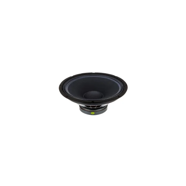 the box pro DSP 115 Woofer 15"