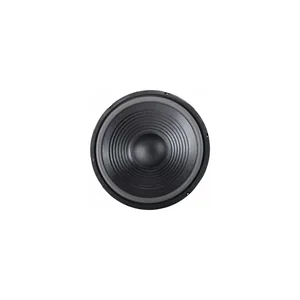 the box 12" Speaker TT305-H
