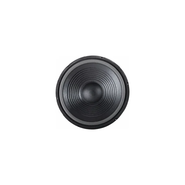 the box 12" Speaker TT305-H