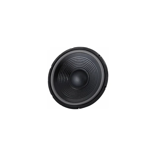 the box 12" Speaker TT305-H