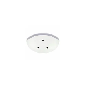 the box Oval 6 White