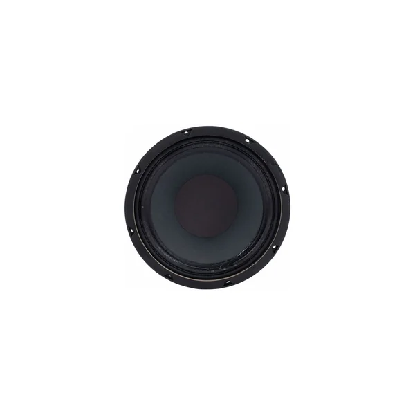 the box Speaker 10-250/8-A