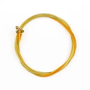 Thomastik SB110 Spectrum Bronze