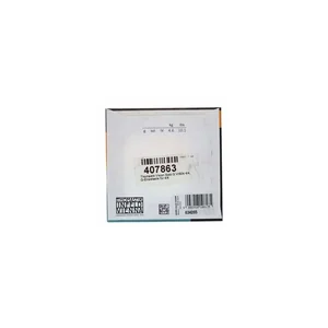 Thomastik VIS04 Vision Solo G Violin 4/4