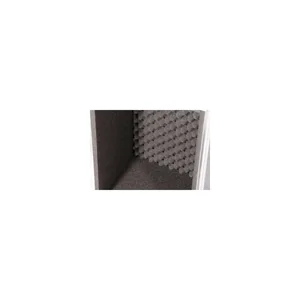 Thon Amp Case Engl Fireball 25