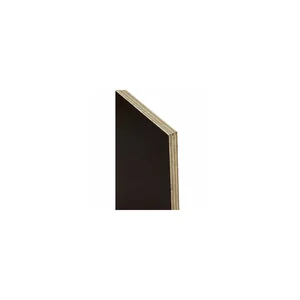 Thon Case Partition 50x50