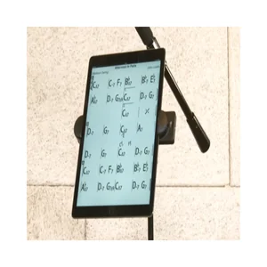 Triad-Orbit iOrbit Pro Tablet Holder