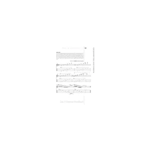 Voggenreiter Das E-Gitarren Handbuch