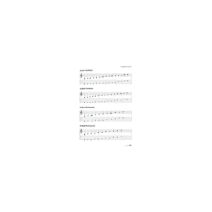 Voggenreiter Open Tunings