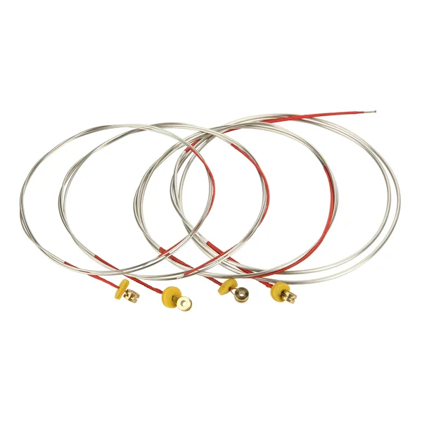 Warwick 44200 Triumph Bass Strings