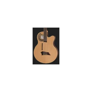 Warwick Alien Deluxe Hybrid 4 NTS