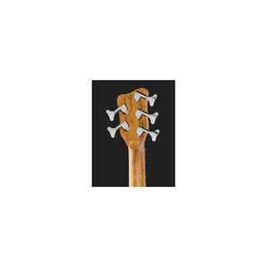 Warwick Pro Series Thumb BO 5
