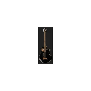 Warwick RB Alien Standard 5 BK FL HP