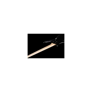 Warwick RB Corvette Basic 5 SBHP FL
