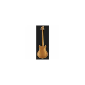 Warwick RB Star Bass 5 MGHP