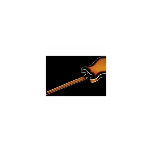 Warwick RB Star Bass 5 VSTHP