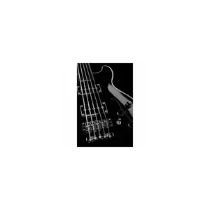 Warwick RB StarBass5 Black HP fretless