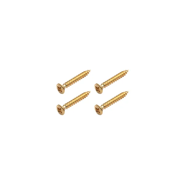 Warwick Screws Bolt-On Necks/Gurt Gold