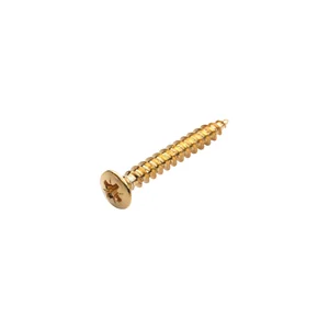 Warwick Screws Bolt-On Necks/Gurt Gold