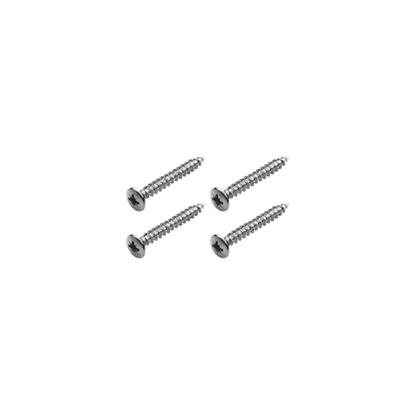 Warwick Screws Bolt-On Necks/Strap CH