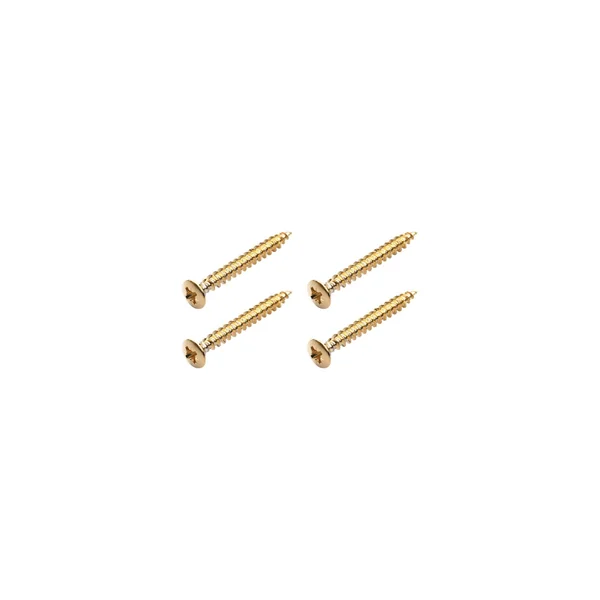 Warwick Screws for Bolt-On Necks G