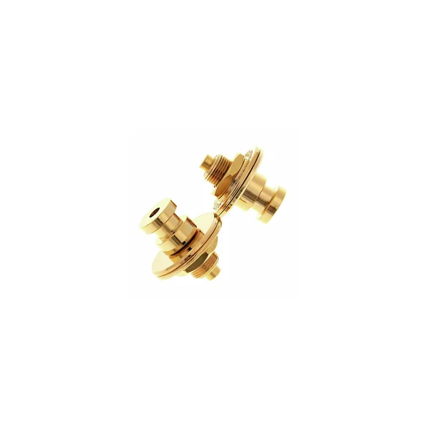 Warwick Security Straplocks GD