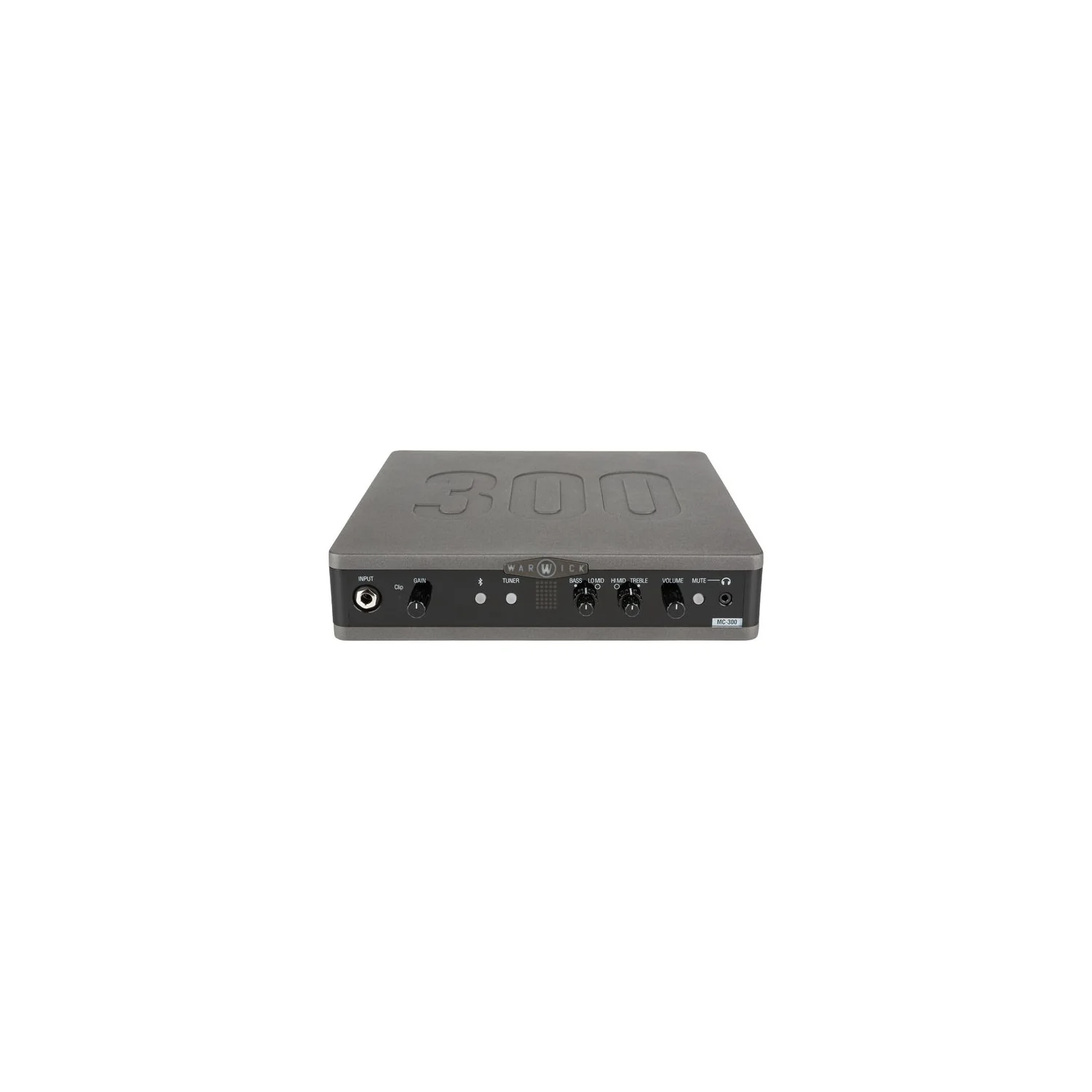 Warwick Stage Series MC 300