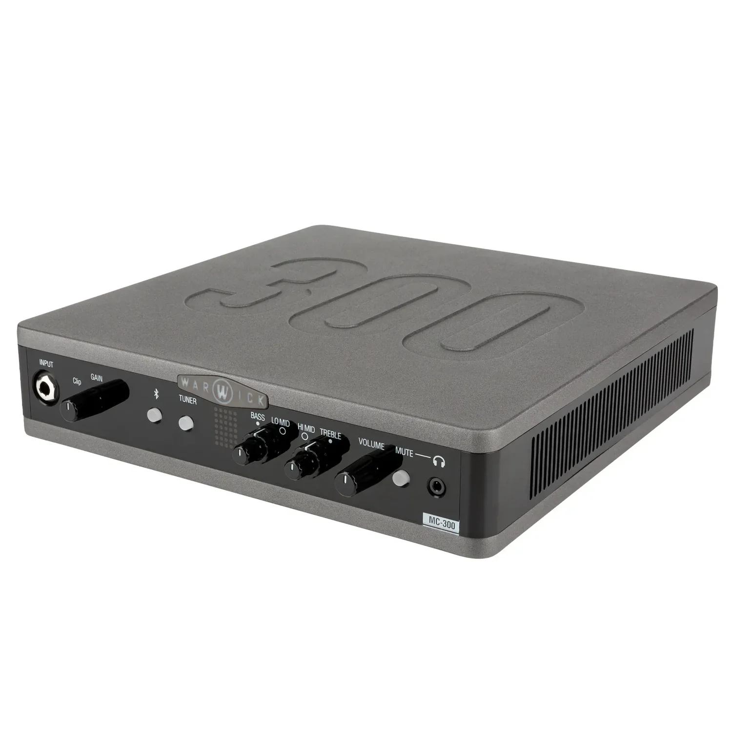 Warwick Stage Series MC 300