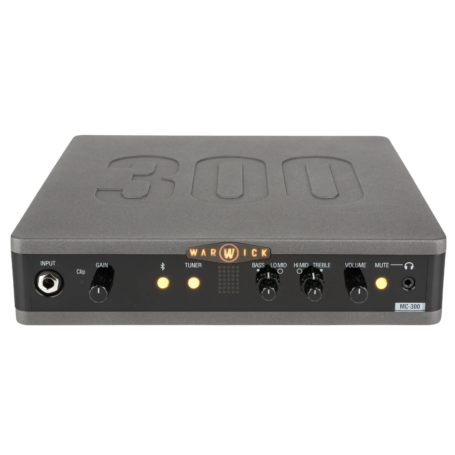 Warwick Stage Series MC 300
