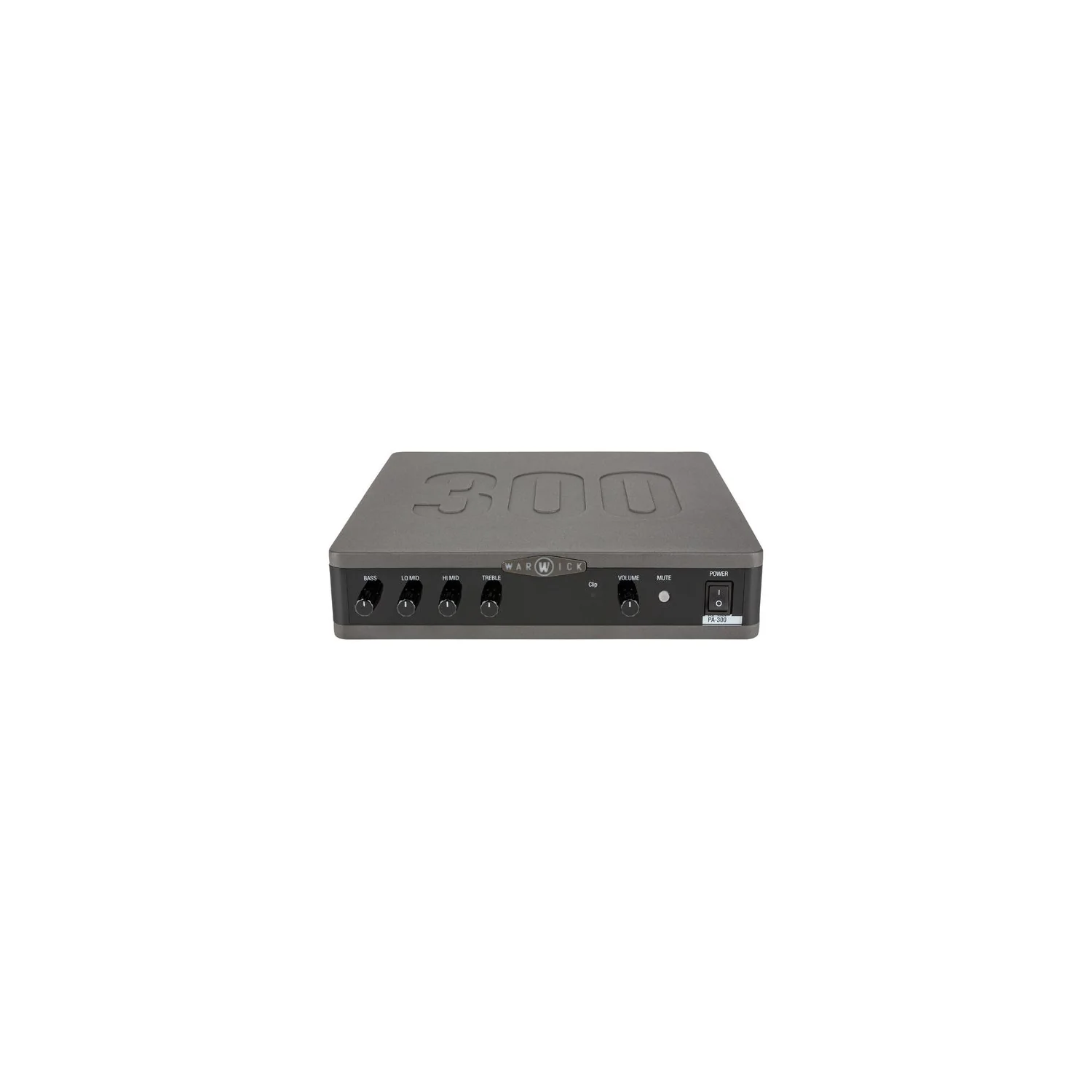 Warwick Stage Series PA 300