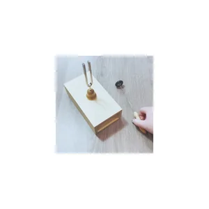 Wittner Tuning Fork w. Resonance Box