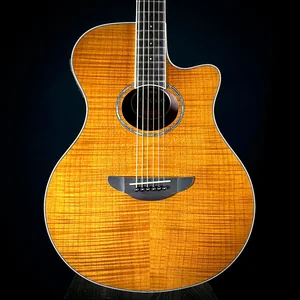 Yamaha APX 600 FM Amber