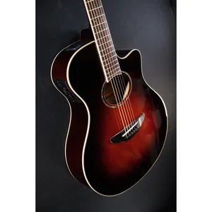 Yamaha APX 600 FM TBS