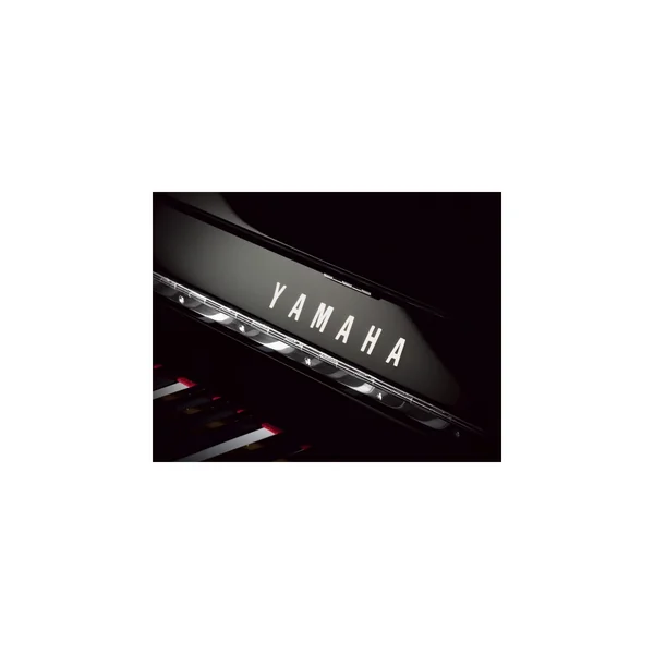 Yamaha b1 PEC
