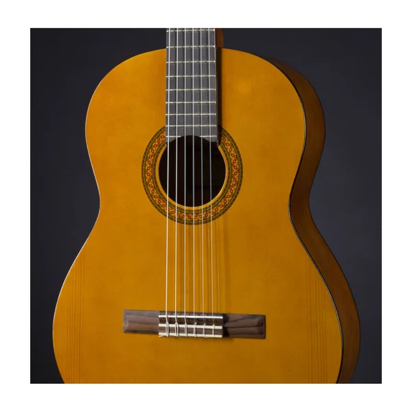 Yamaha C40 Bundle
