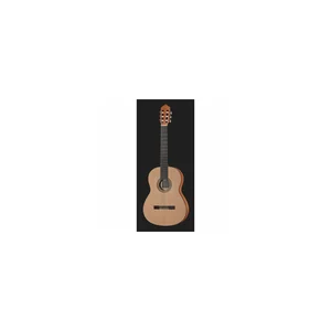 Yamaha C40M