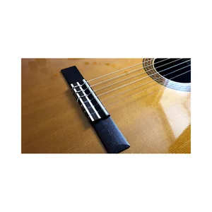 Yamaha CG192C