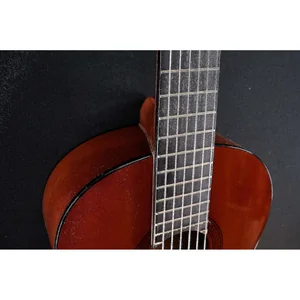 Yamaha CGS102A