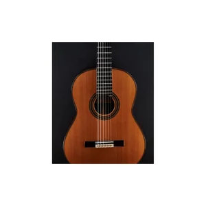 Yamaha CGS102A
