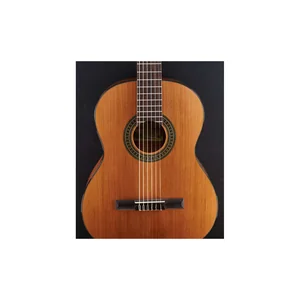 Yamaha CGS102A