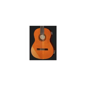 Yamaha CGX 102