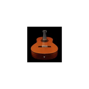 Yamaha CGX 102