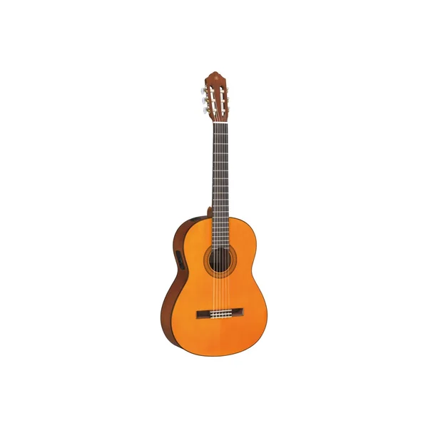 Yamaha CGX 102